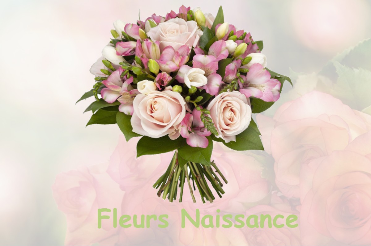 fleurs naissance SAINT-HILAIRE-SUR-RISLE